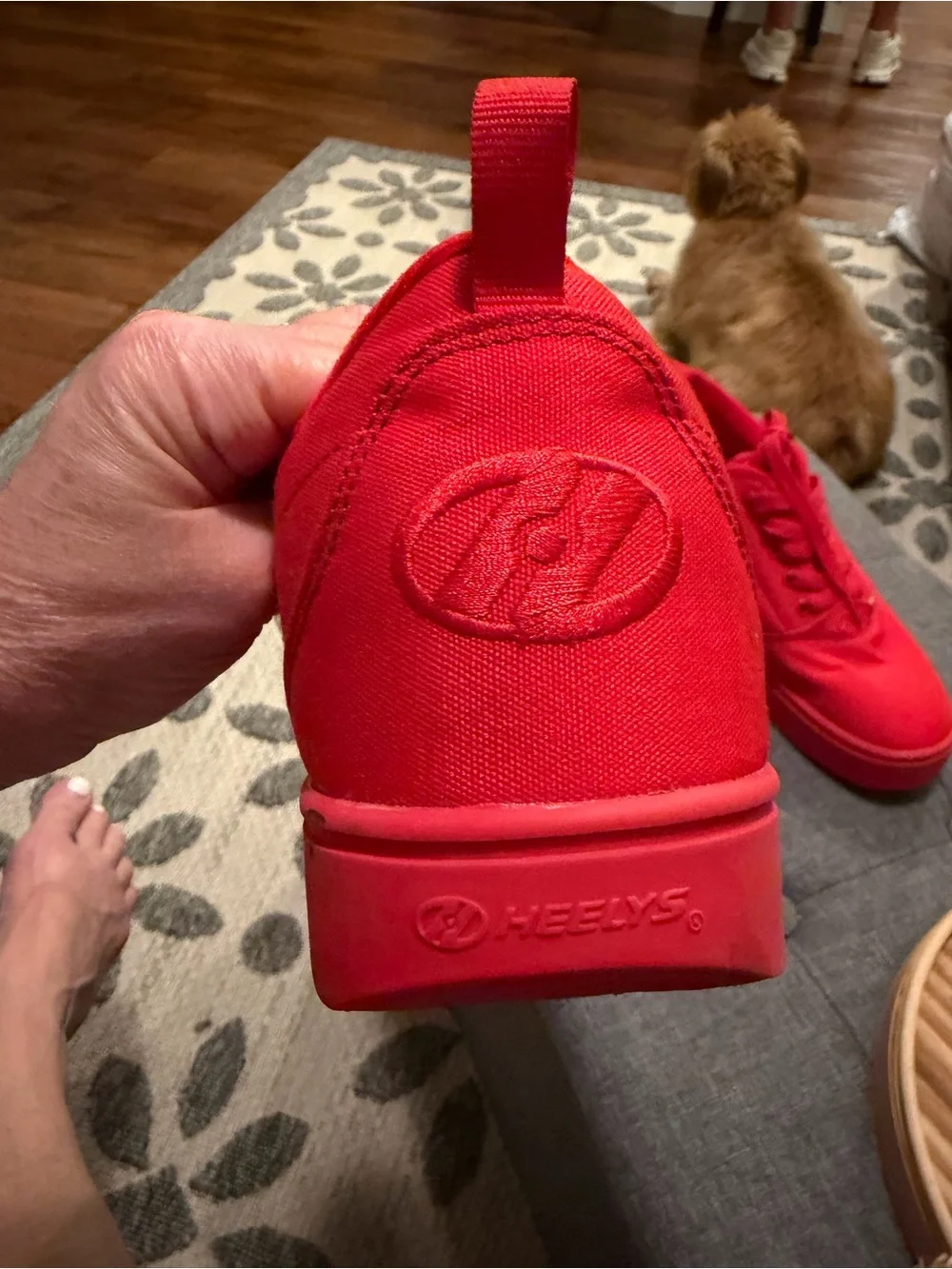 Heelys Red Low-Top Sneakers